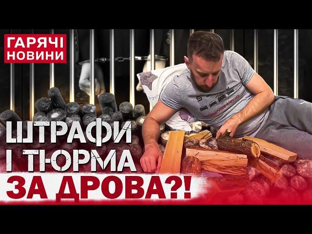 "Закон про три гілляки?!" ШТРАФИ ЧИ ТЮРМА ЗА ДРОВА! Українців розлютив новий перл Верховної Ради!