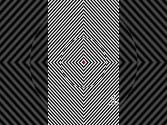 Everything you Look after Focusing on The red Point for 10 Min moves