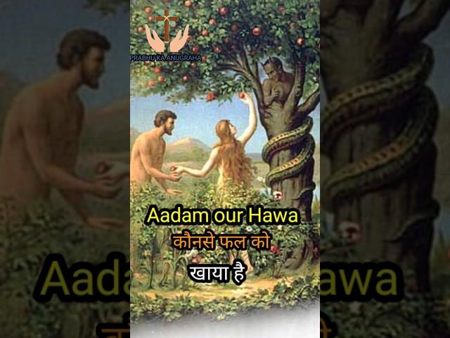 Adam aur Hawa Ne kaun se fal ko khaya tha आदम और हव्वा