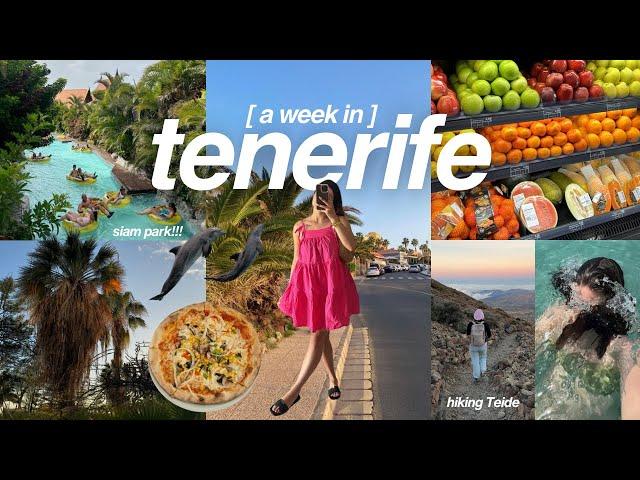 tenerife travel vlog ‍️ snorkeling, beach days, kayaking, Siam park, Loro parque, Teide 