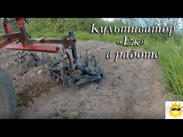 Ротационный культиватор "Еж" в работе