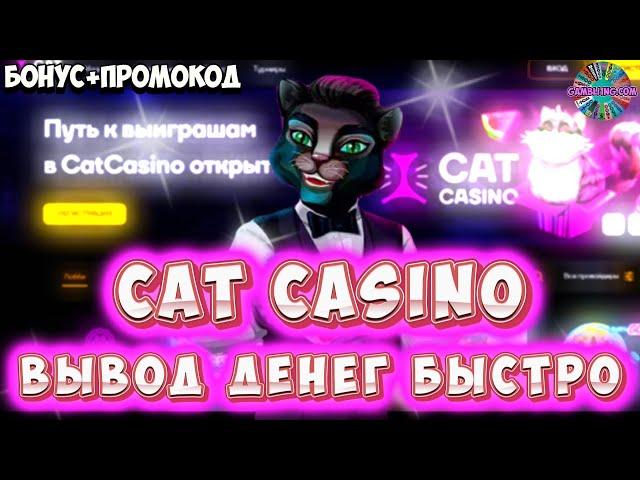  Cat казино  Обзор казино Cat  Cat казино бонусы  №18