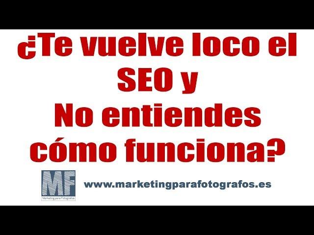 Cómo funciona el SEO explicado para novatos.