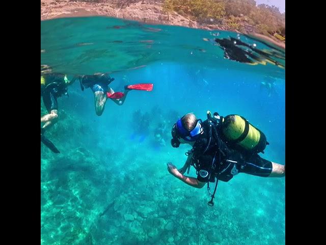 Scuba Diving Tour From Antalya, Belek