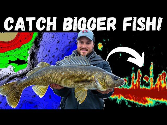 Top Techniques for Catching BIG Walleyes: Pro Tips and Tricks