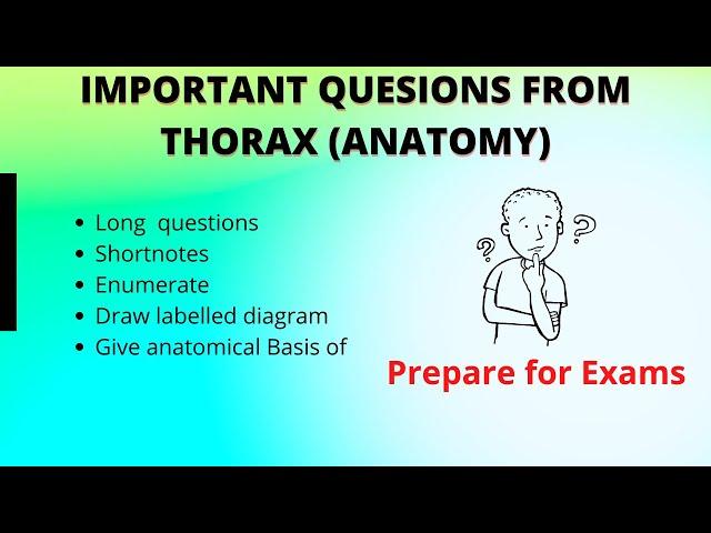 Anatomy Important Questions || Thorax Important Topics || Anatomy 1st Year Medical || Exam Questions