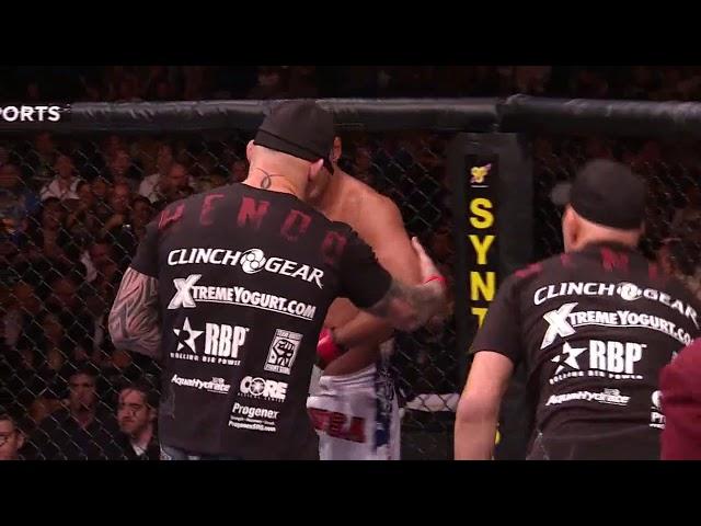 Henderson vs Bisping 1 ufc100