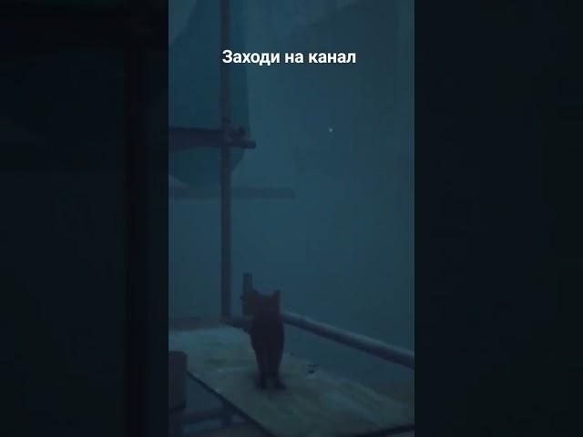 Stray прохождение #stray #стрей #cat