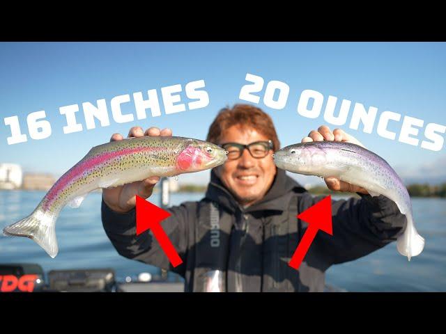 This Japanese Fishing Company Makes The Craziest Lures!