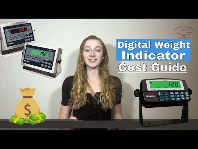 Digital Weight Indicators Cost Guide for Weighing Scales