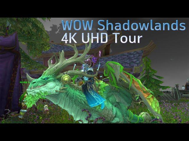 [4K UHD] World of Warcraft Shadowlands Flying Tour (From Ardenweald to Bastion)