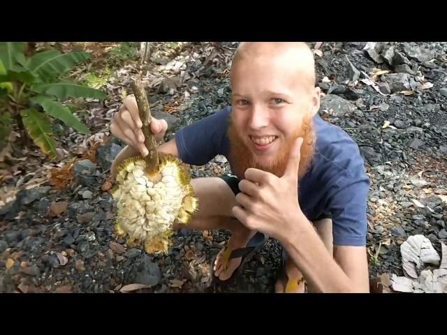 A Day in the Life of 3 Fruitarians // Foraging Fruits and Waterfalls!