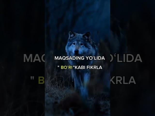 12-mart, 2025