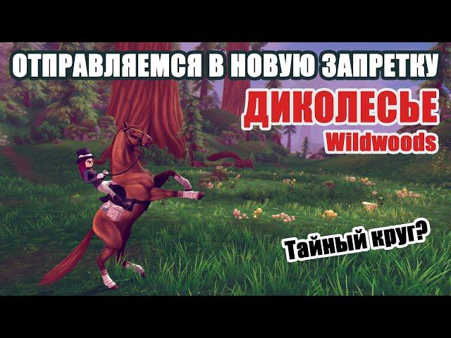 Отправляемся в ЗАПРЕТКА ДИКОЛЕСЬЯ STAR STABLE ONLINE | We go to the forbidden zone Wildwoods 