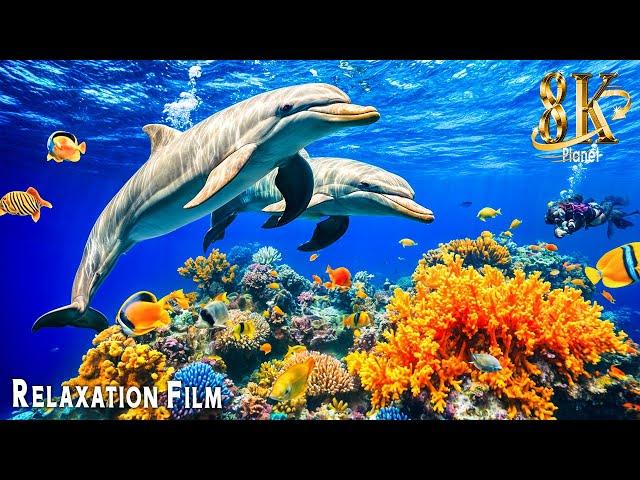 Aquarium 8K Ultra HD (12 Hours)  Best Sea Animals with Relaxing & Calming Music