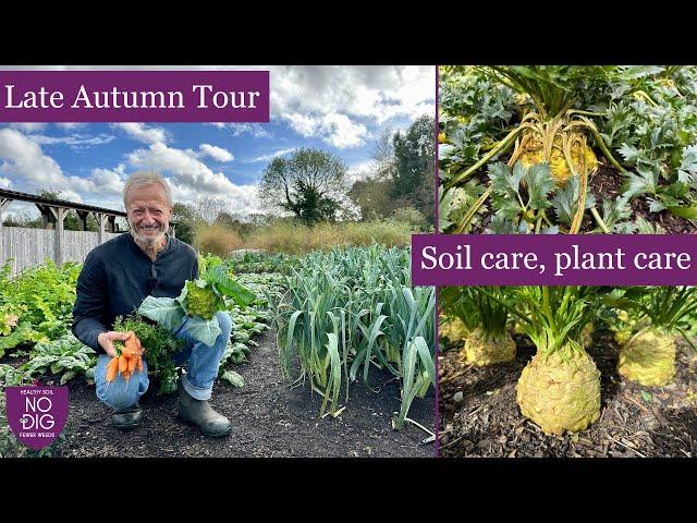 Carrot| spinach| Cauliflower and celeriac plus no dig green manures and Quick bed prep pre-winter