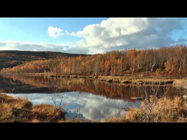 Мурманск. Осень в мурманских сопках.