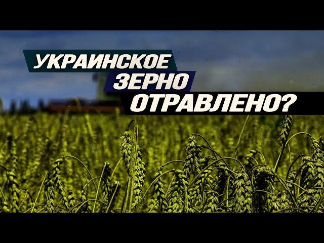 Подарок Путина Вашингтону, США кинет Израиль, почему на самом деле протестуют фермеры? Игорь Нагаев