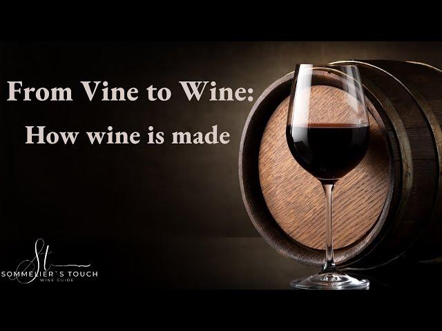 From Vine to Wine: Step by step, Wine Making process explained