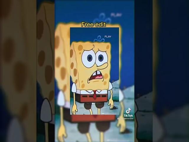 Spongebob is 