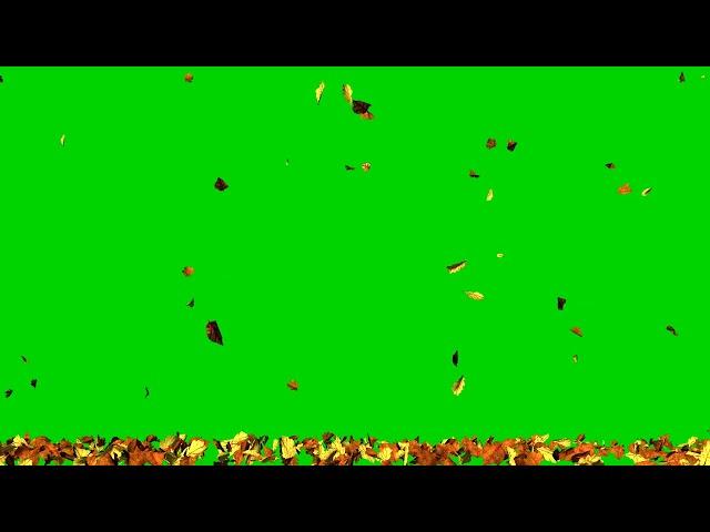 Falling Autumn Leaves Green Screen