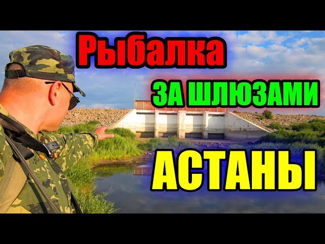 РЫБАЛКА, ЗА ШЛЮЗАМИ АСТАНЫ!!! РЕКА ИШИМ 2023.#рыбалка #казахстан #ишим #река