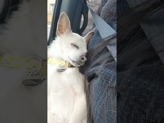 Car rides make me sleepy too