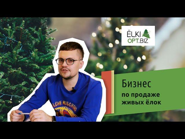 Бизнес на продаже елок. Как построить успешный бизнес по продаже елок?