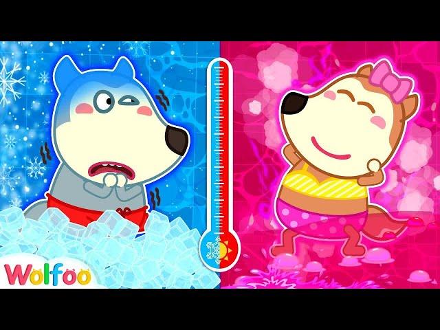 Hot vs Cold Bath - Wolfoo Learns Healthy Habits | Wolfoo Family Kids Cartoon