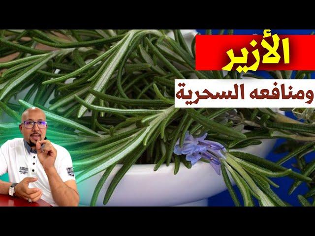 فوائد الأزير أو اكليل الجبل وزيت الأزير | الدكتور عماد ميزاب Docteur Imad Mizab