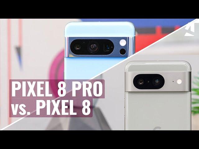 Google Pixel 8 Pro vs. Pixel 8: Which one to get?