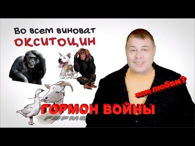 Войны шимпанзе:  во всем виноват окситоцин. Затевахин о Животных Главное: