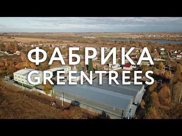 Фабрика елок Green Trees