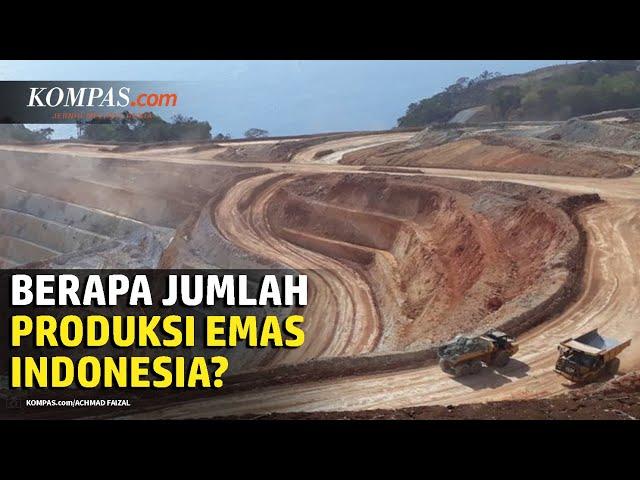 Produksi Emas Indonesia Baru 9,98 Ton