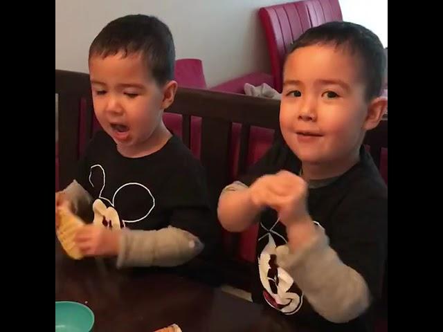 Very cute Twin toddler sing!