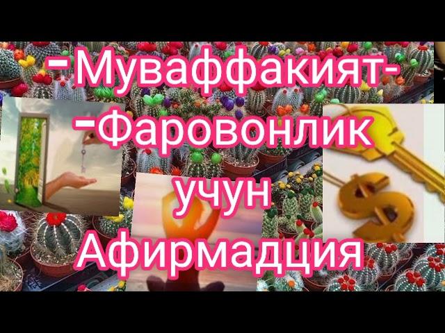 100_%_натижа_берувчи_афирмадция