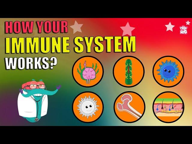 How Does Your Immune System Works?| What Is Immune System? | The Dr Binocs Show | Peekaboo Kidz