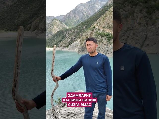 Одамларни қалбини билолмайсиз.