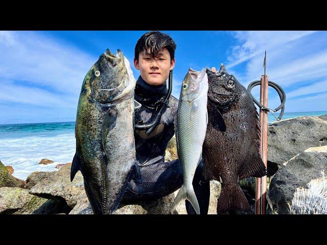 Spearing BIG FISH and RARE SPECIES From Shore! | Hawaii Spearfishing For Omilu, Knifejaw, And More