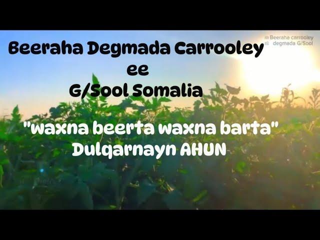 Beeraha Degmada Carrooley ee G/ Sool ee SSC/SOMALIA "daqiiqado ila joog"