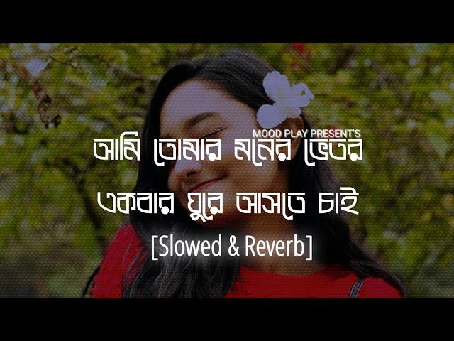 Ami Tomar Moner Vitor (আমি তোমার মনের ভিতর)Habib Wahid & Nancy [Slowed+Reverb]New Lofi 2022