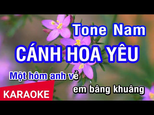 KARAOKE Cánh Hoa Yêu Tone Nam | Nhan KTV