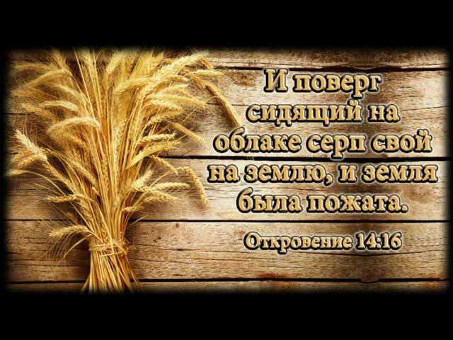 Служeние Ц. Благодать 10/2/2024