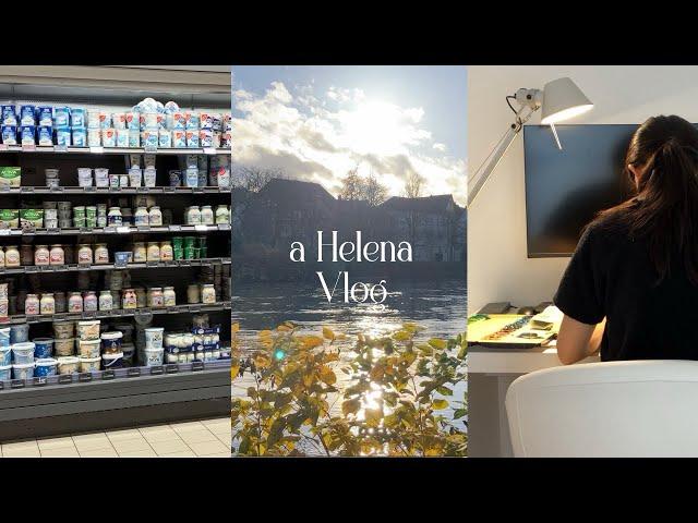 My Job before Marriage, Childbirth, and Parenting - Daily Life in Germany, Edeka Grocery Shopping