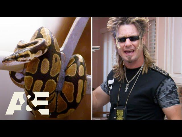 Billy the Exterminator: Best Moments of 2024 | A&E