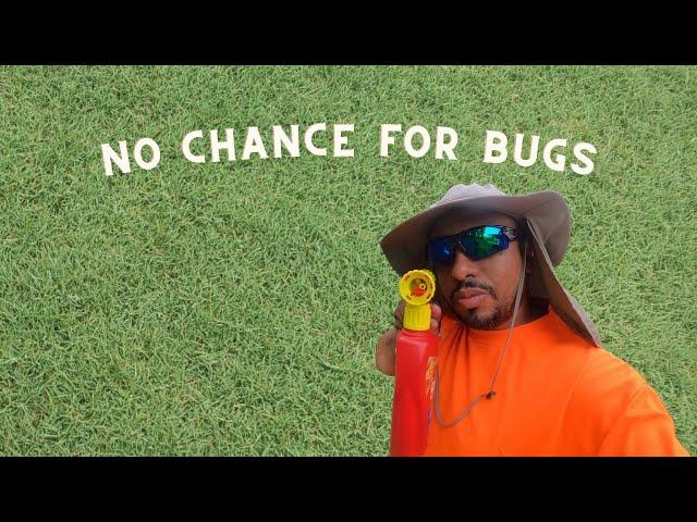 How I manage bugs in the lawn with DIY pest control