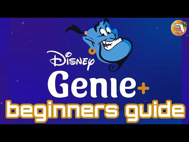 Disney Genie Plus Explained a Complete Beginners Guide to Genie+