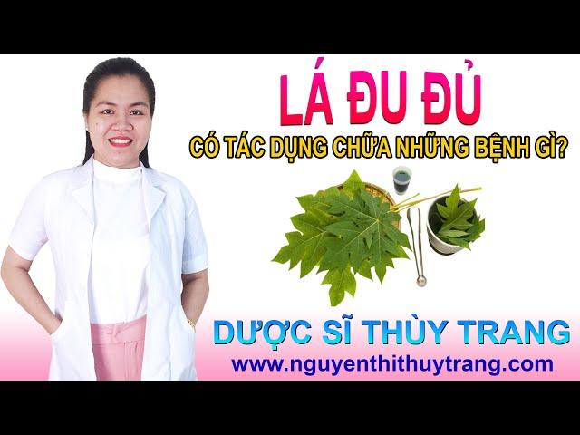 Lá đu đủ có những tác dụng chữa bệnh gì? Cách sử dụng lá đu đủ an toàn #papaya