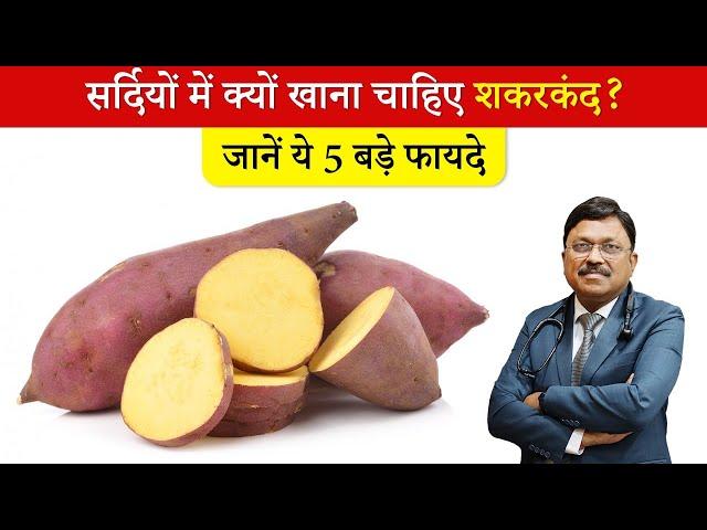 Sweet Potato Benefits: सर्दियों में क्यों खाना चाहिए शकरकंद? जानें ये 5 बड़े फायदे | SAAOL