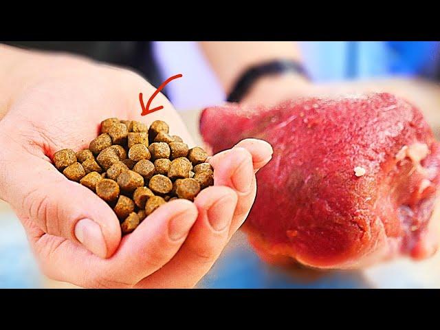 HOW TO PREPARE DRY FOOD?! Food for dogs and cats